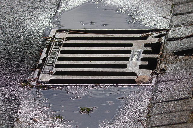 homeowner inspecting gutter downpipe and garden drainage during rain practical education