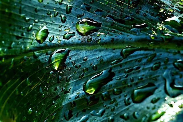 rainwater tank and garden drainage components educational illustration Ireland